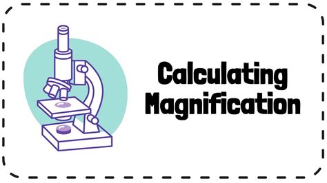 Learn How to Calculate the Magnification of a .